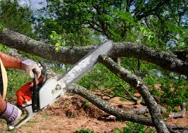 Best Tree Mulching  in Jennings Lodge, OR